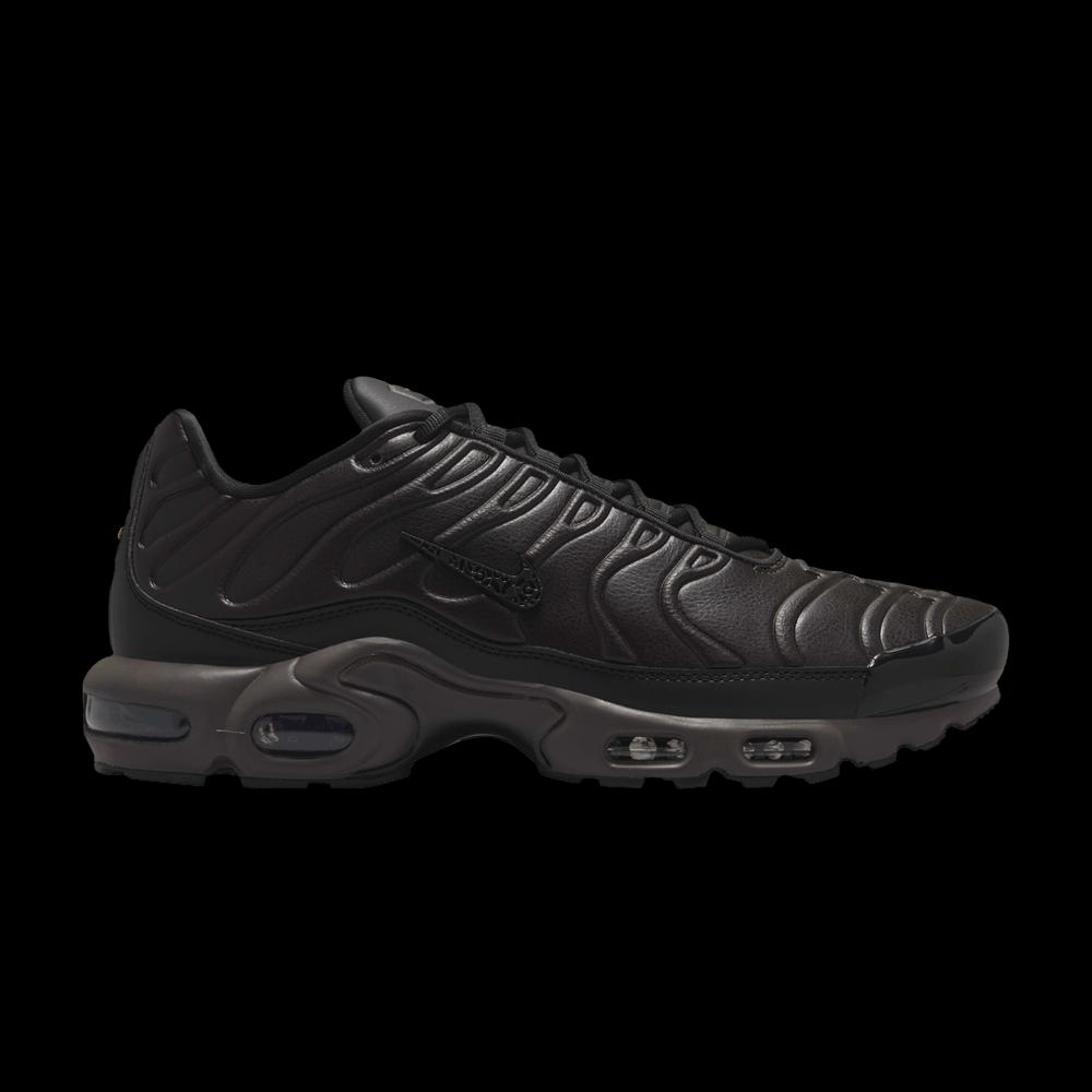 Кроссовки Nike Air Max Plus Premium 'Paris' 1