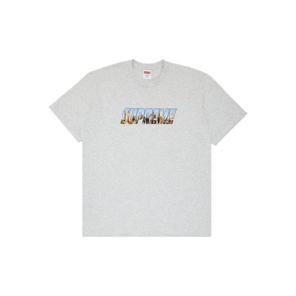 Футболки Supreme Gotham Tee 'Ash Grey' 1