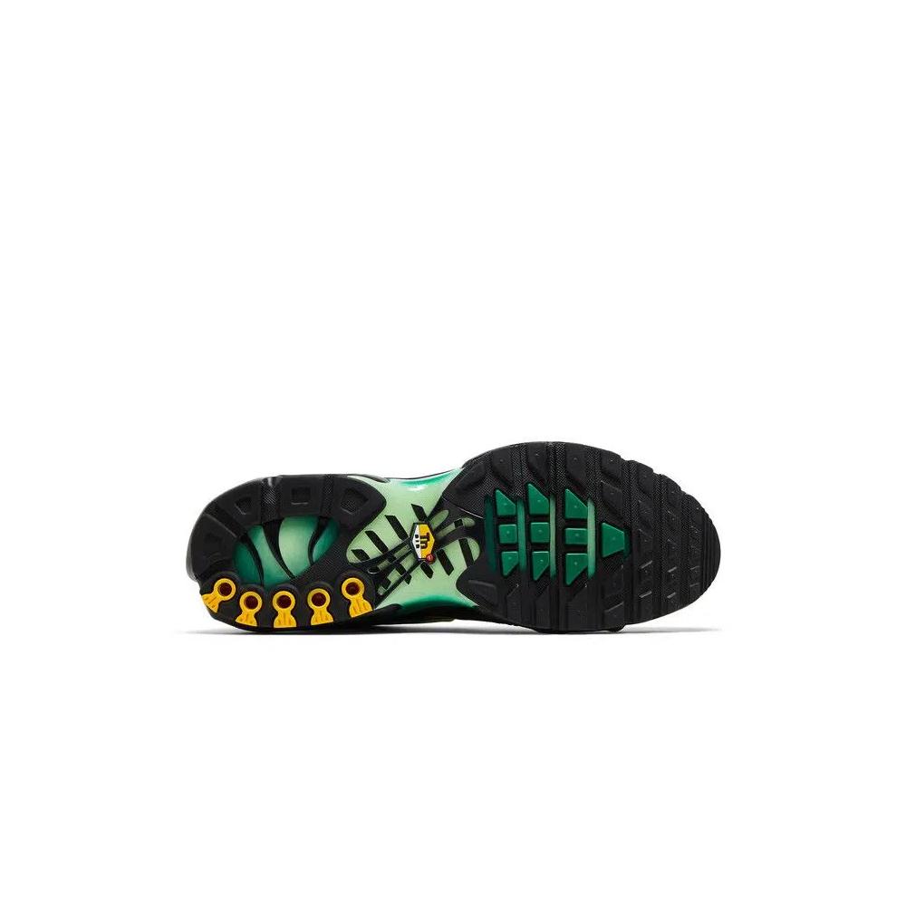 Кроссовки Nike Air Max Plus 'Vapor Green Gradient' 4