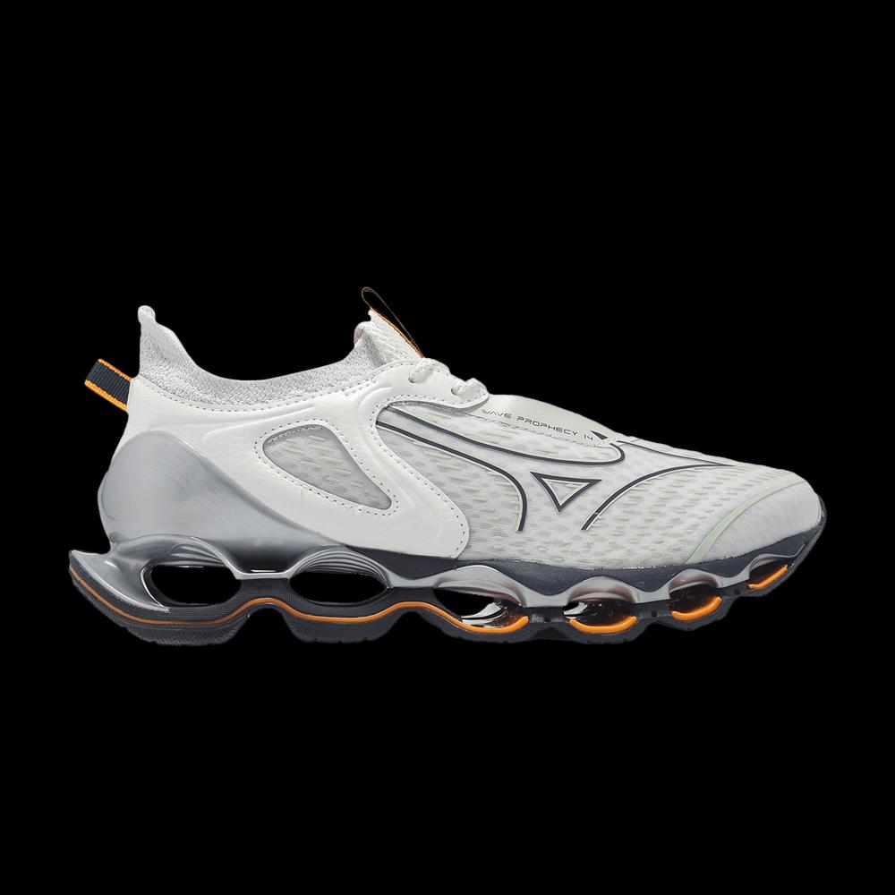 Кроссовки Mizuno Wave Prophecy 14 'Grey White' 1