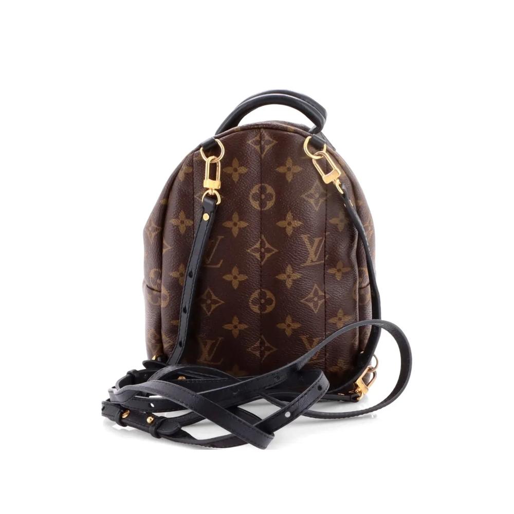 Мини-рюкзак Palm Springs Monogram Canvas 2