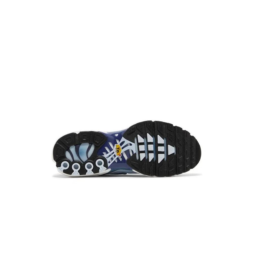 Кроссовки Nike Wmns Air Max Plus 'Celestine Blue' 4