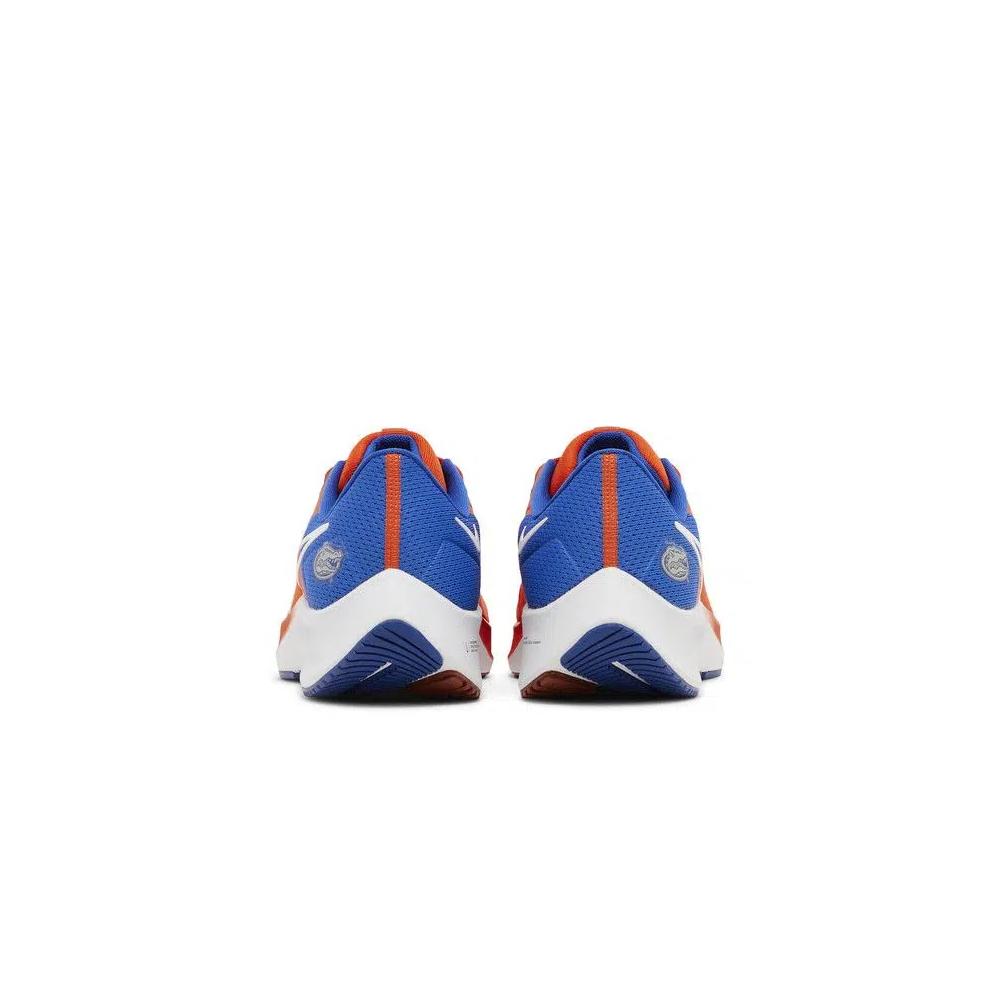 Кроссовки Nike Air Zoom Pegasus 38 'Florida' 6