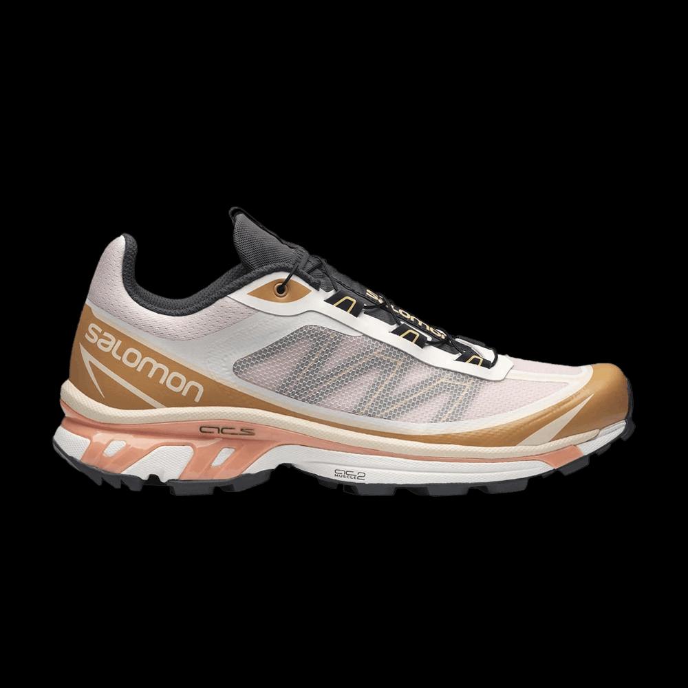 Кроссовки Salomon XT-6 FT 'Morganite Fenugreek' 1