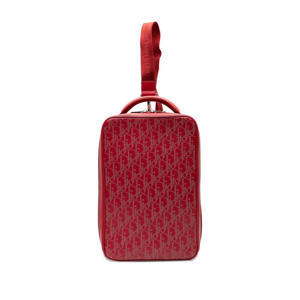 Сумка-сэтчел Oblique Perforated Calfskin Galaxy World Tour Shoe Case (2021 год) 1