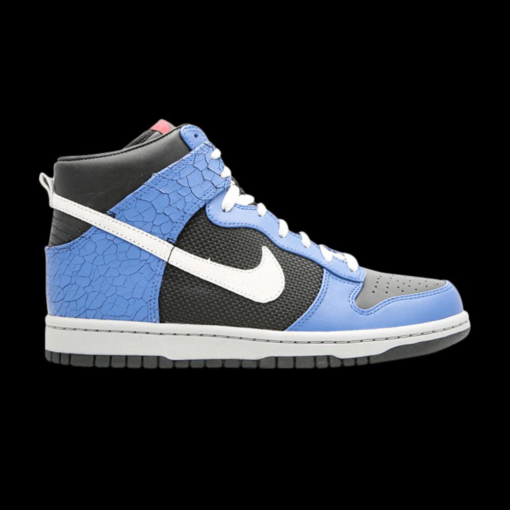 Кроссовки Nike Dunk High Premium 1