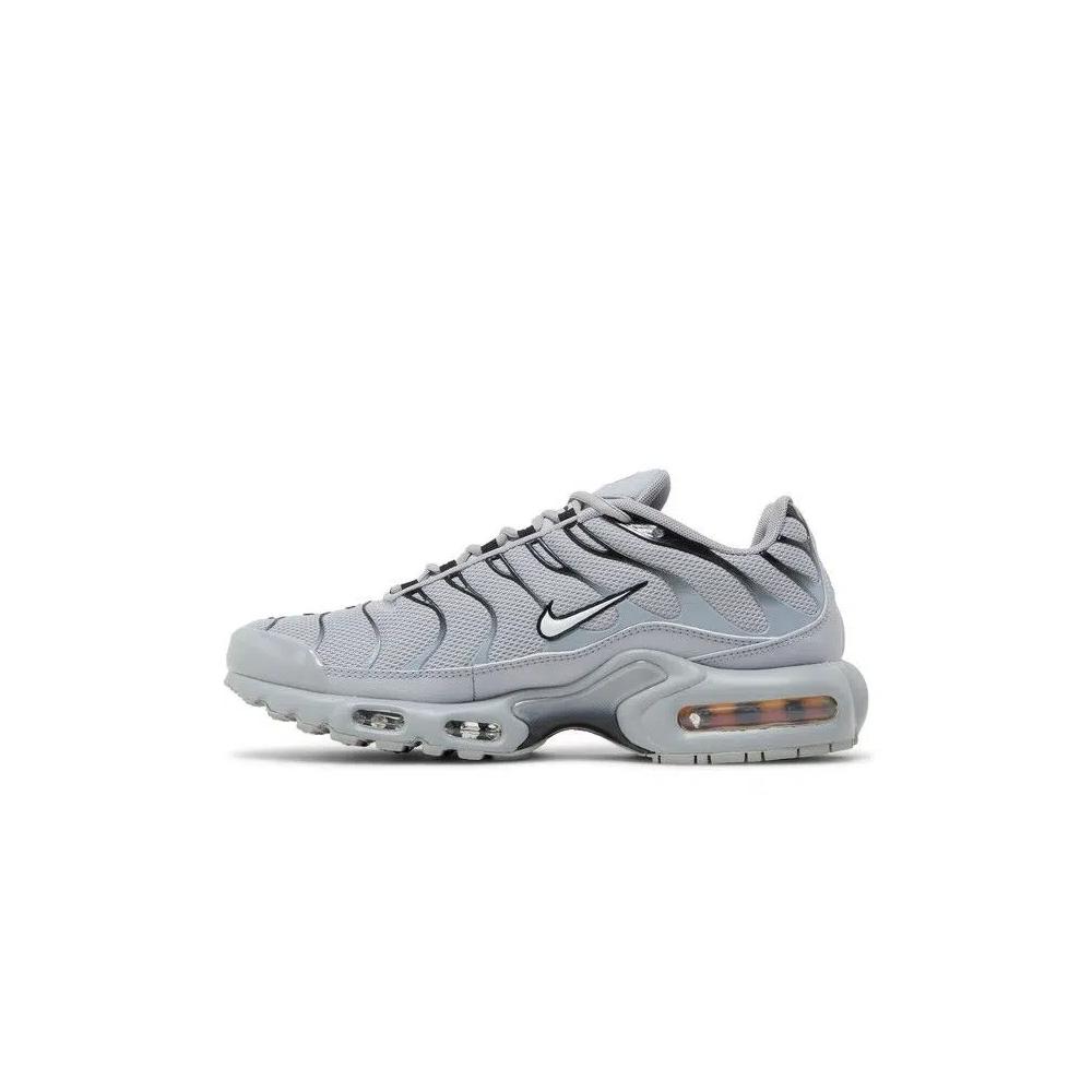Кроссовки Nike Air Max Plus TN 'Wolf Grey' 3