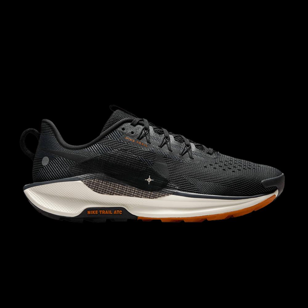 Кроссовки Nike Pegasus Trail 5 'Black Monarch' 1
