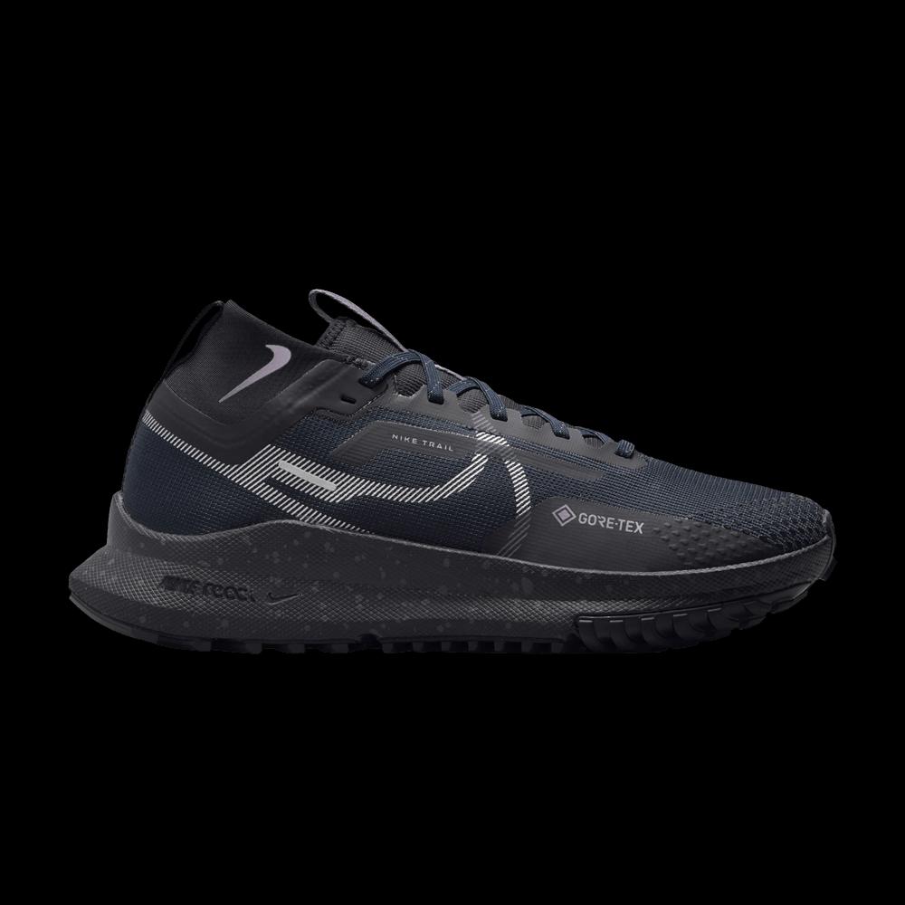 Кроссовки Nike Wmns React Pegasus Trail 4 GORE-TEX 'Dark Obsidian Metallic Silver' 1