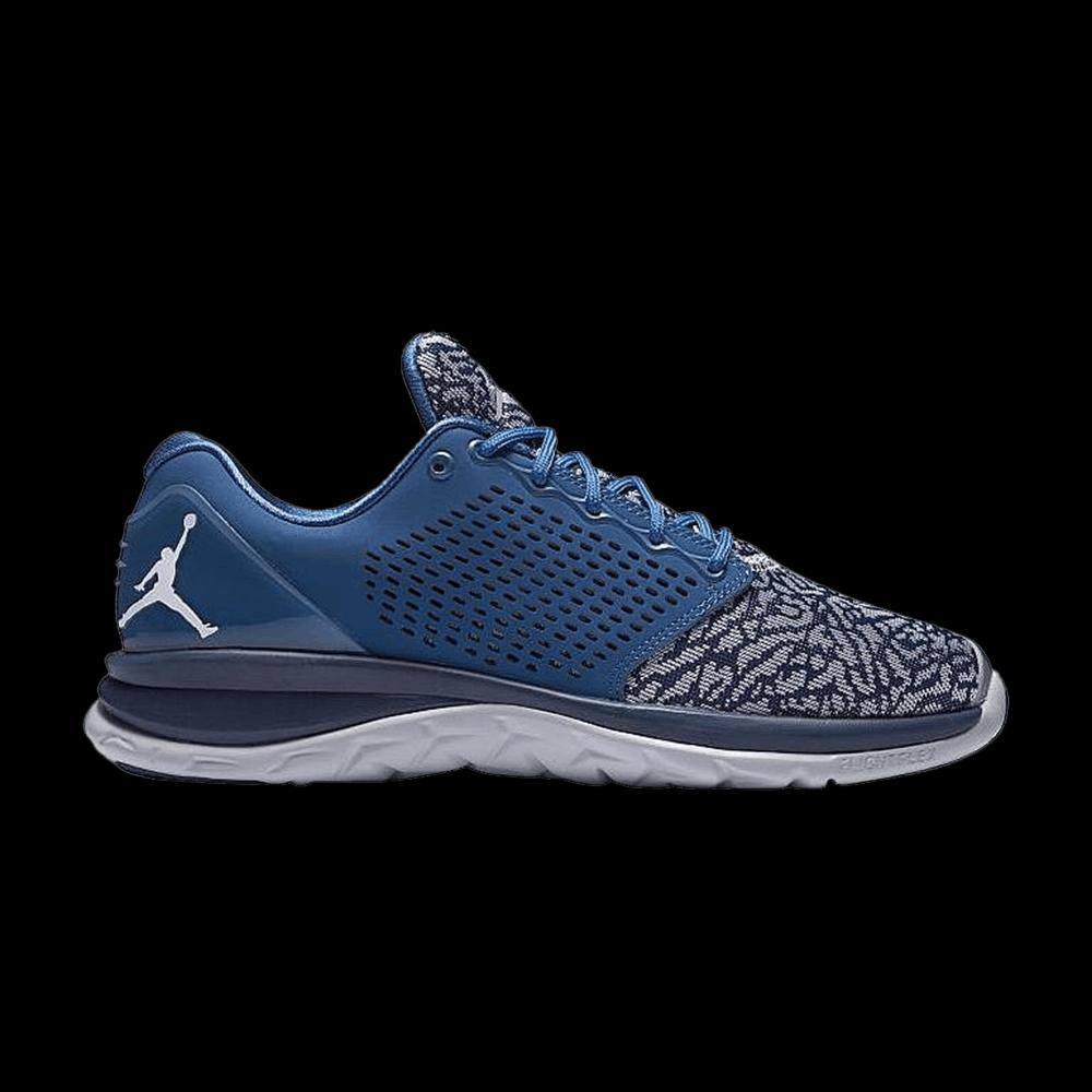 Кроссовки Air Jordan Trainer ST 'French Blue' 1