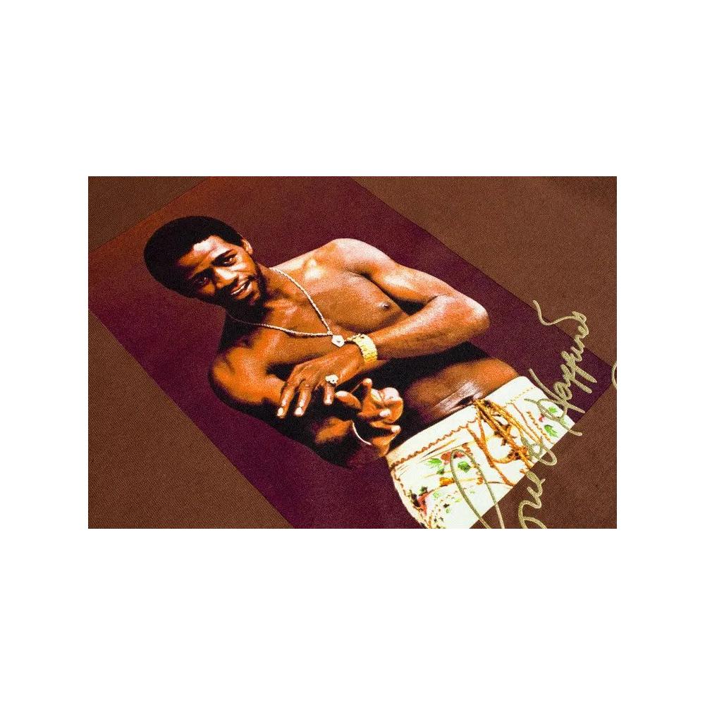 Футболки Supreme Al Green Tee 'Brown' 2