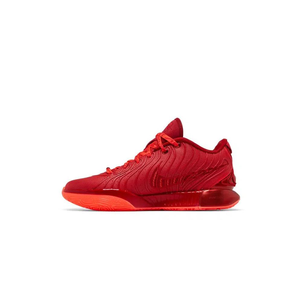 Кроссовки Nike LeBron 21 'James Gang' 3