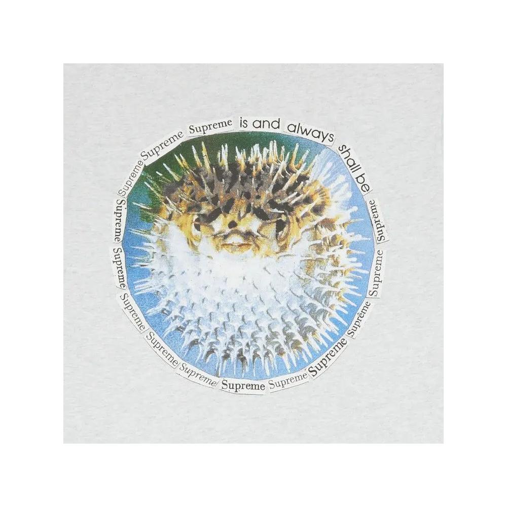 Футболки Supreme Blowfish Tee 'Ash Grey' 3
