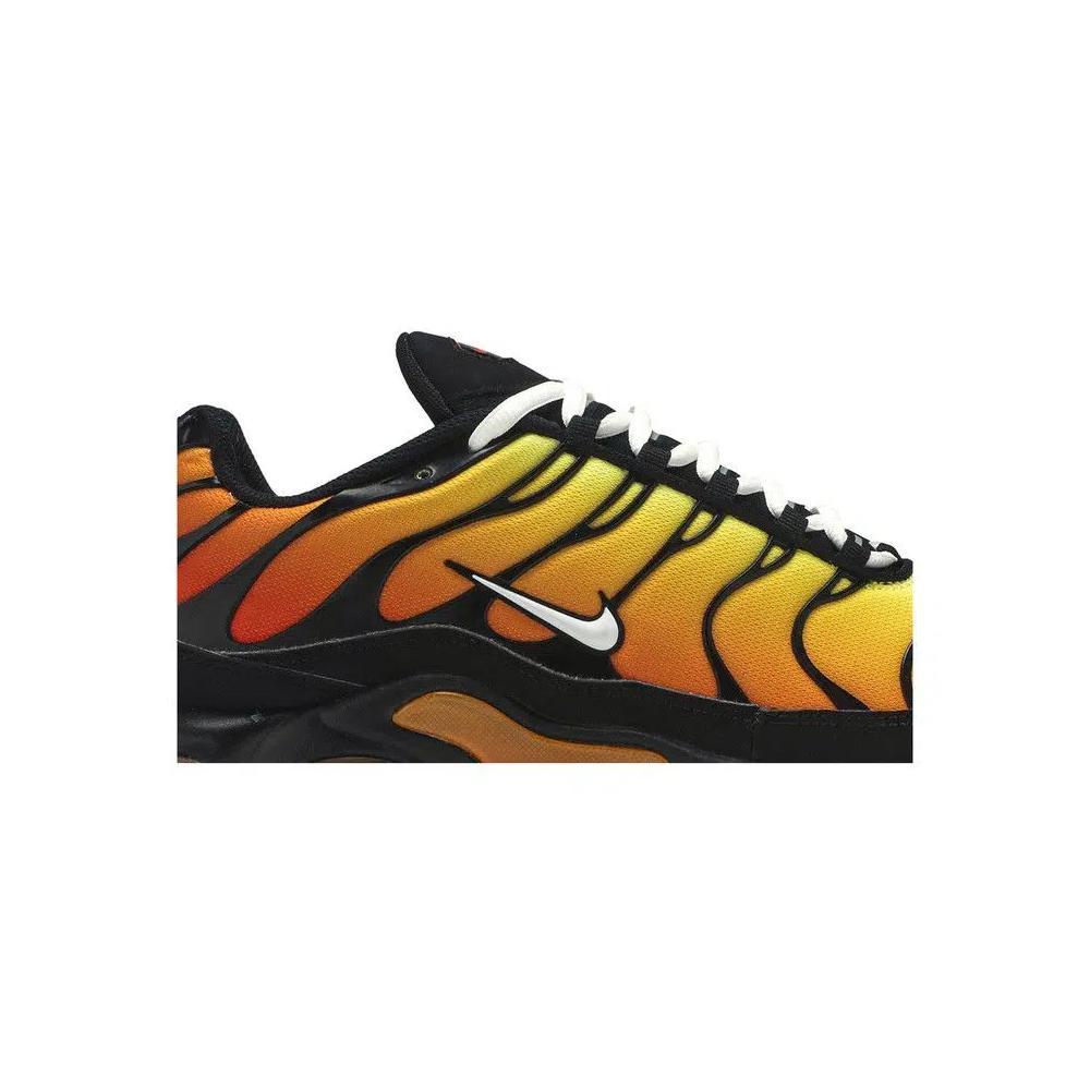 Кроссовки Nike Air Max Plus OG 'Tiger' 3