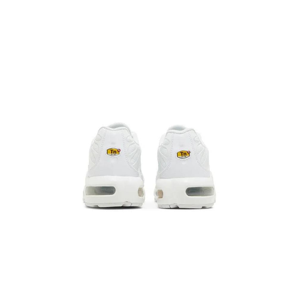 Кроссовки Nike Air Max Plus GS 'White Metallic Silver' 6