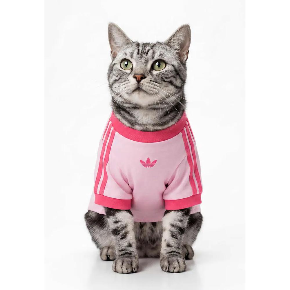 Футболка Pet Cali 4