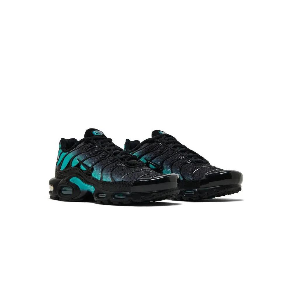 Кроссовки Nike Air Max Plus 'Black Dusty Cactus' 8