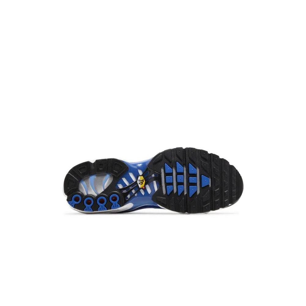 Кроссовки Nike Men's Air Max Plus 'Light Photography - Old Royal' 4