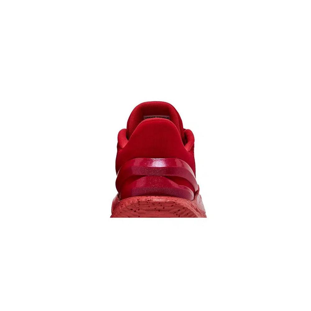 Кроссовки Curry Brand Curry 2 Low FloTro 'Davidson' 7