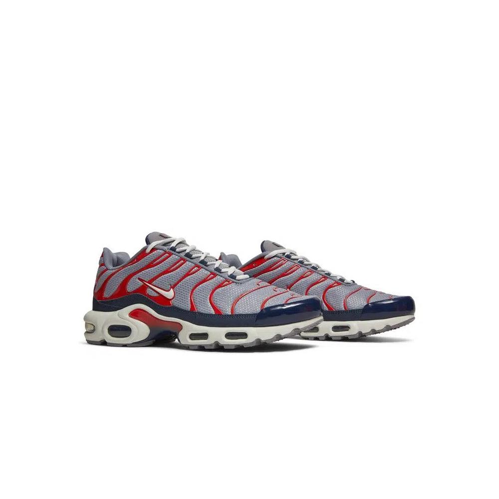Кроссовки Nike Air Max Plus 'Grey USA' 8