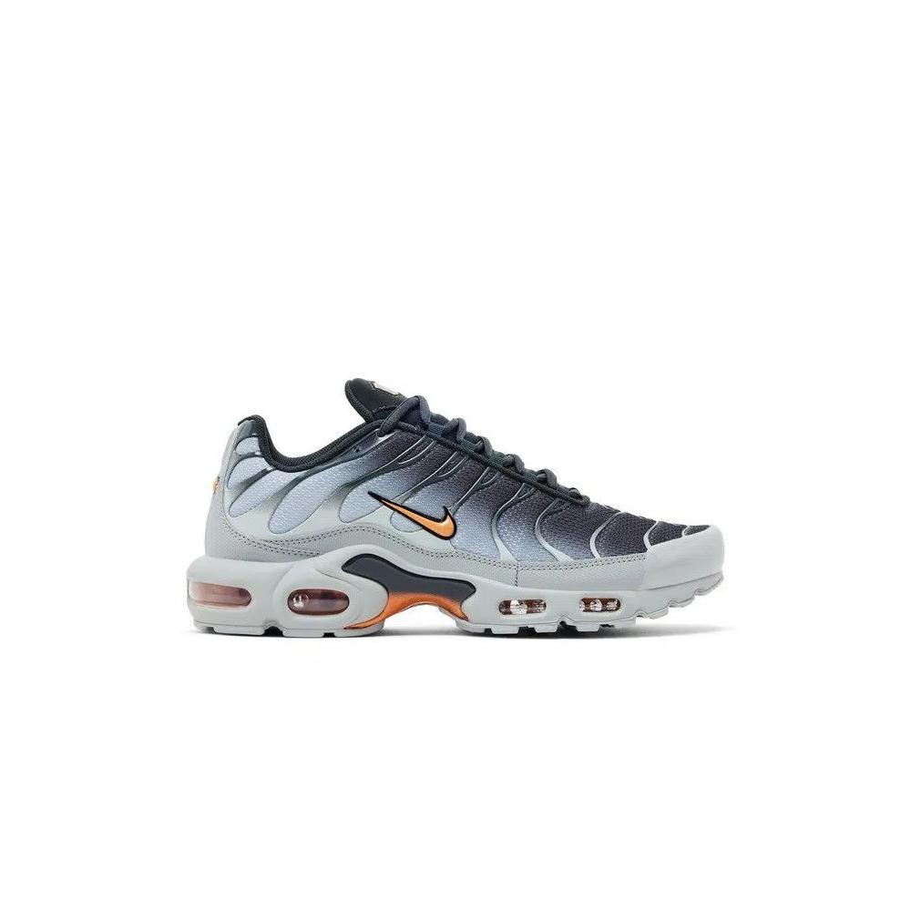 Кроссовки Nike Air Max Plus 'Light Smoke Grey' 1