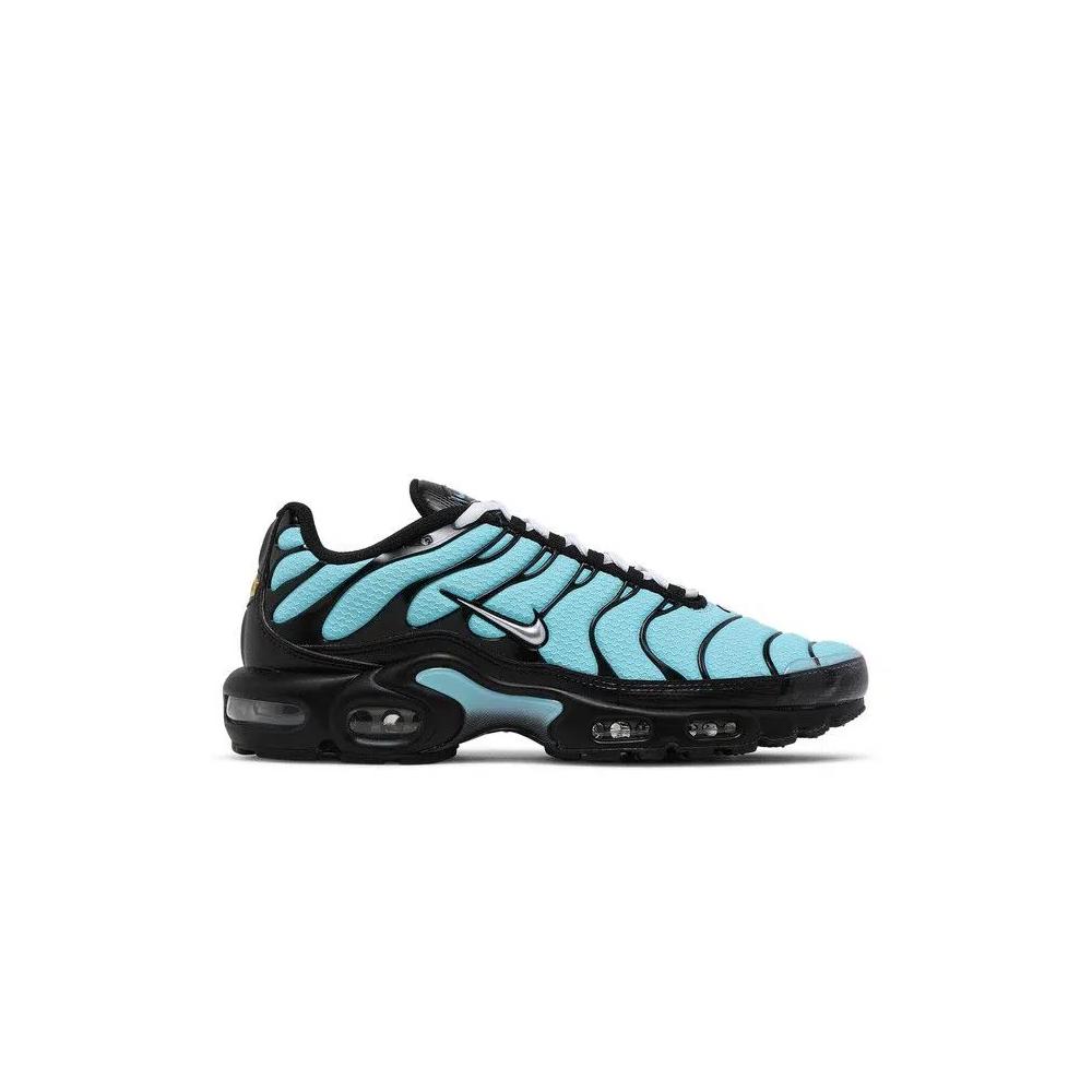 Кроссовки Nike Air Max Plus 'Aqua Silver' 1