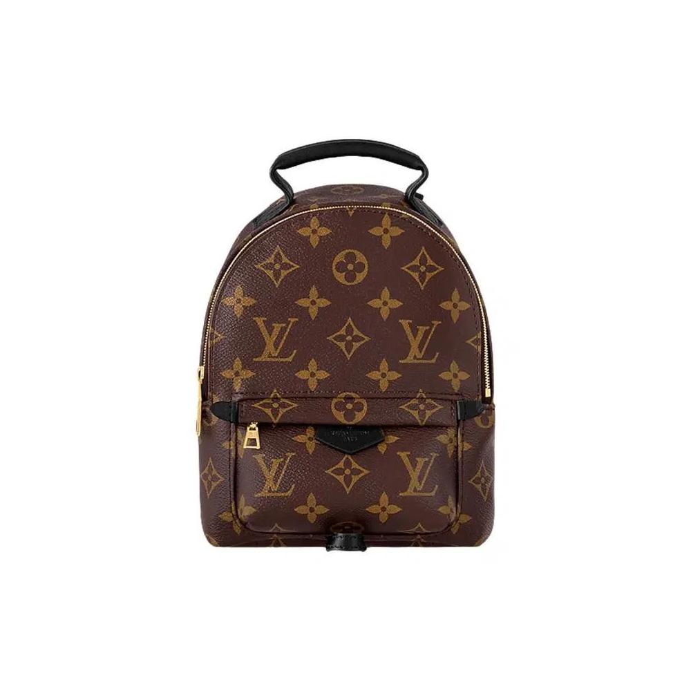 Рюкзаки Louis Vuitton Palm Springs Mini 'Brown Monogram Canvas' 1