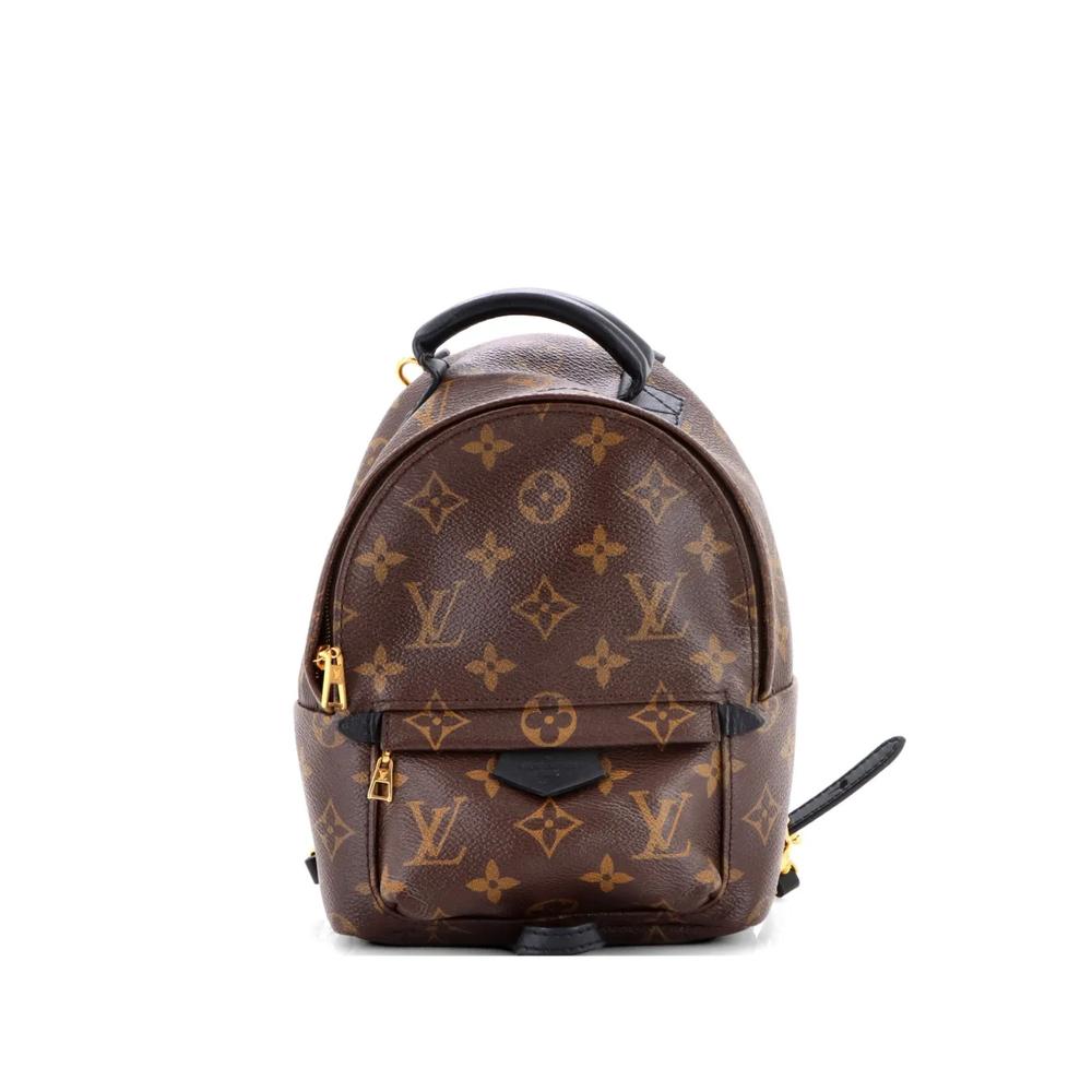 Мини-рюкзак Palm Springs Monogram Canvas 1