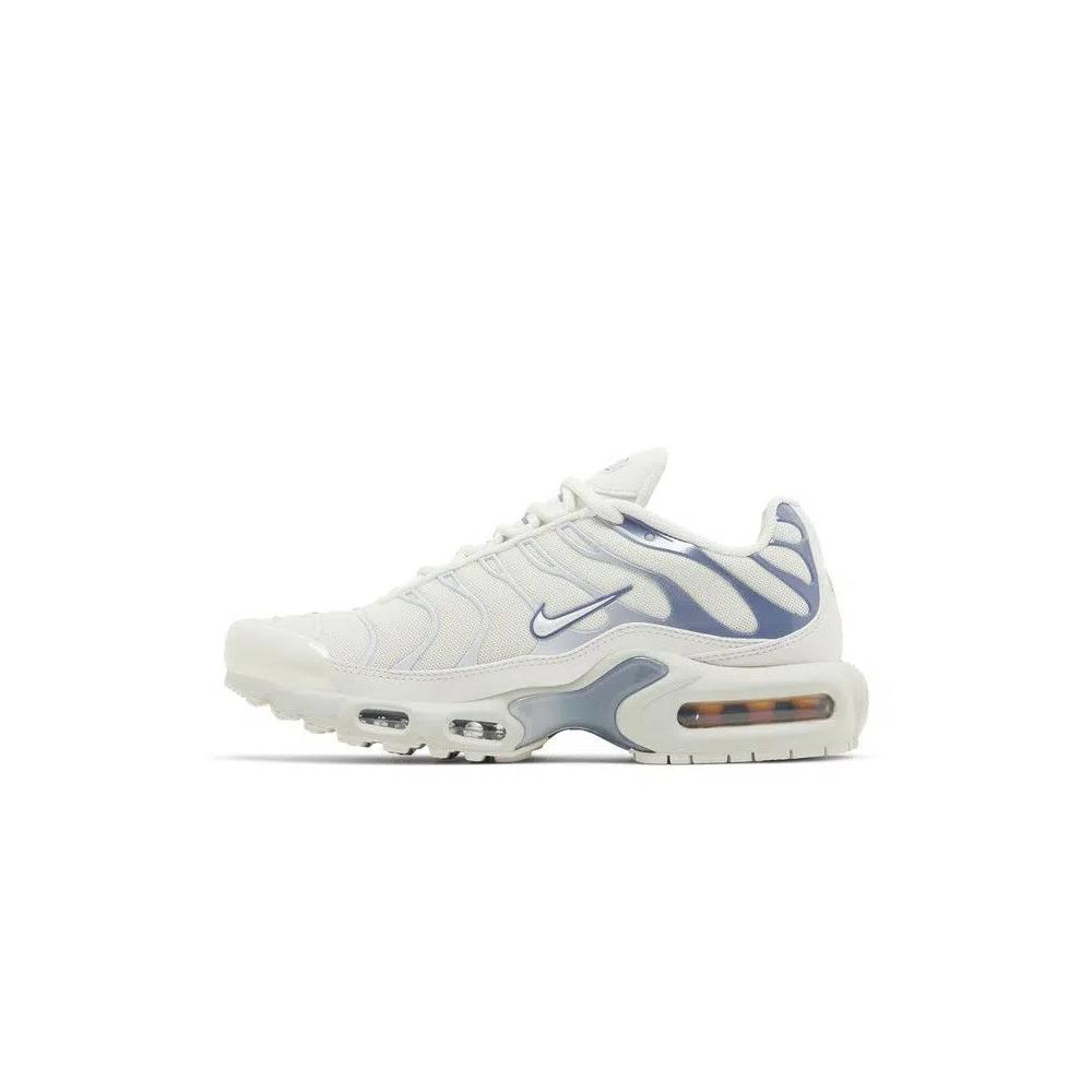Кроссовки Nike Wmns Air Max Plus 'Пепельный шифер' 3