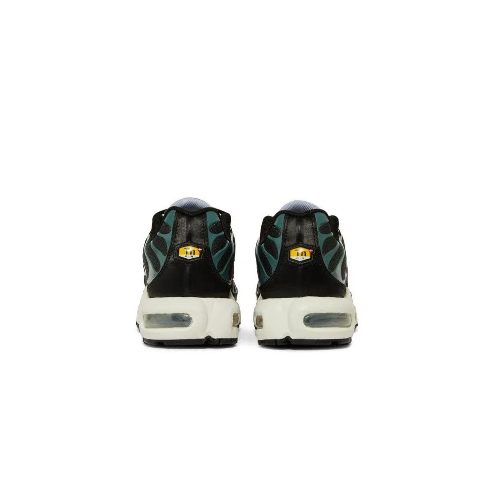 Кроссовки Nike Air Max Plus 'Anthracite Hasta' 6