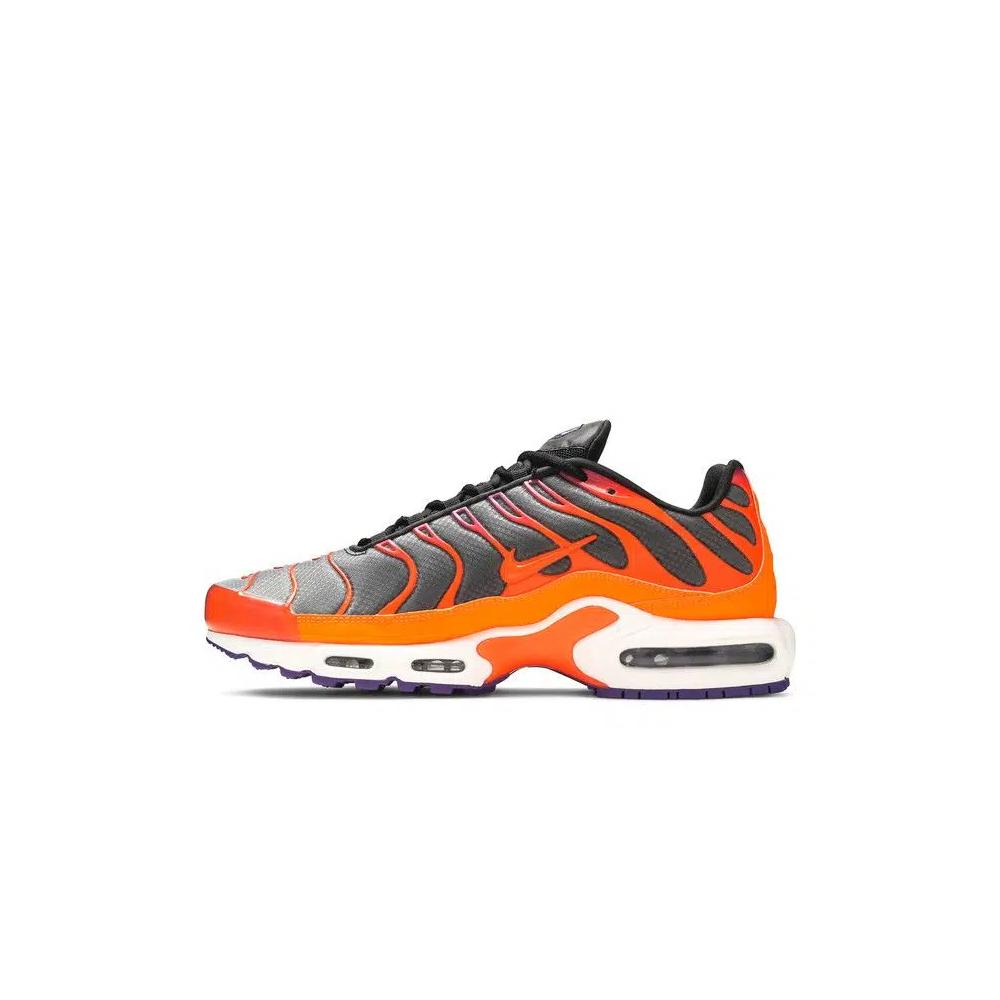 Кроссовки Nike Air Max Plus 'Color Flip' 3