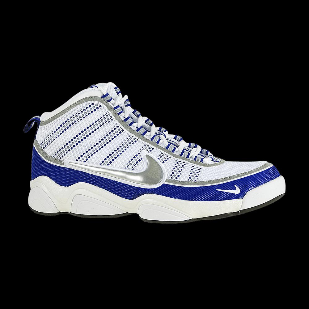Кроссовки Nike Zoom Don 'Silver Concord' 1