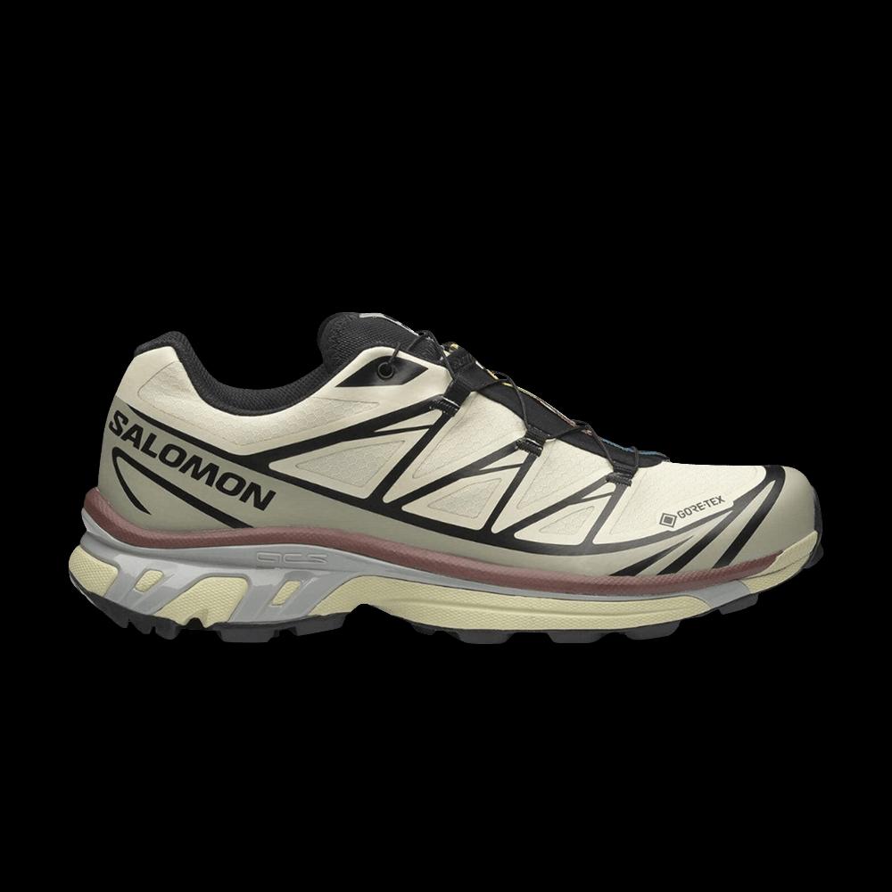Кроссовки Salomon XT-6 GORE-TEX 'Aspargus Green Tea Chocolate' 1