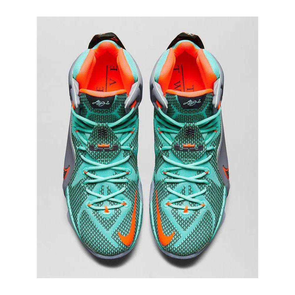 Кроссовки Nike LeBron 12 'NSRL' 3