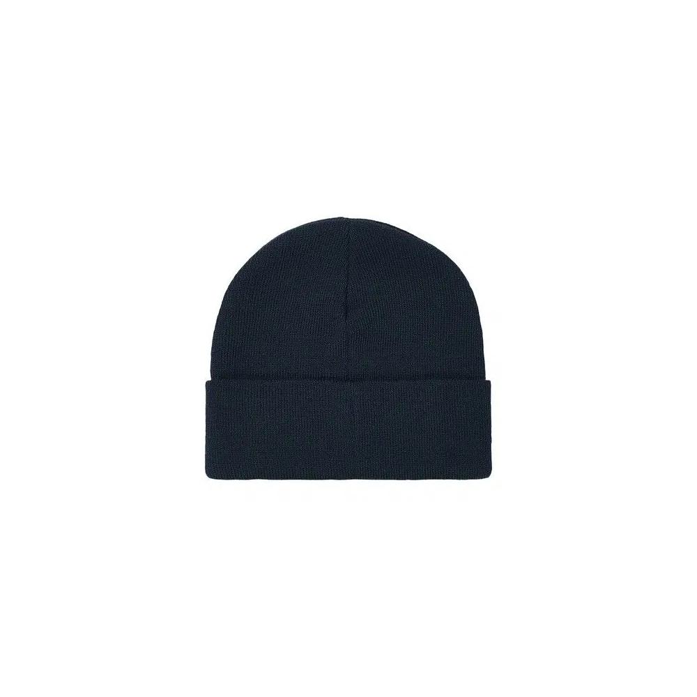 Головные уборы Palace Tri-Ferg Beanie 'Темно-синий' 2
