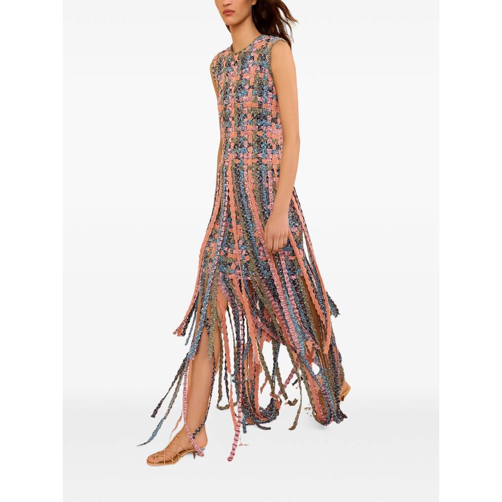 Alexis fringe-trimmed knit maxi dress 3