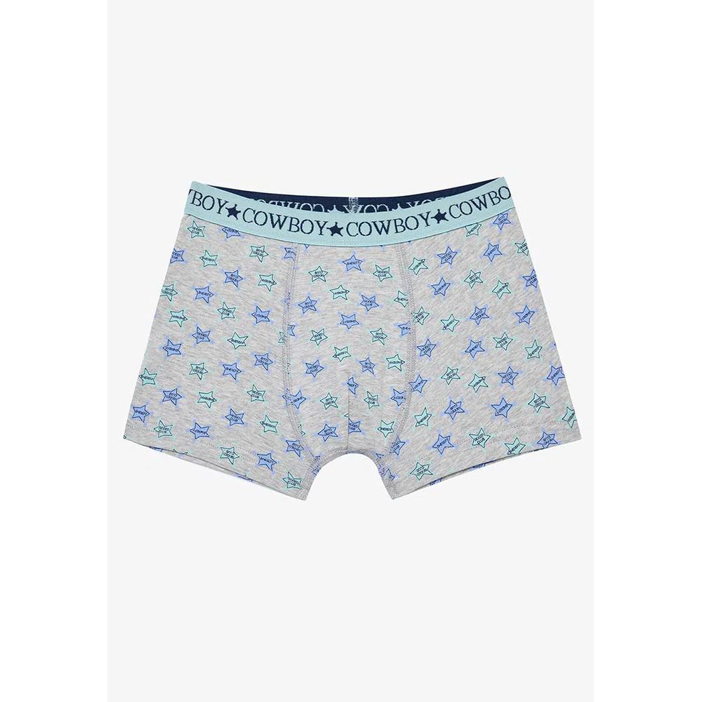 Набор из 2 боксеров Rodeo Club 3
