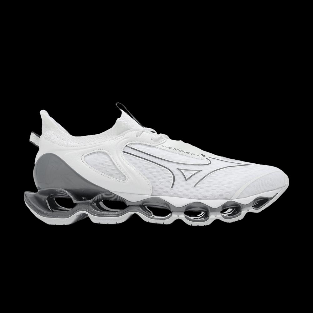 Кроссовки Mizuno Wave Prophecy 14 'White Silver' 1