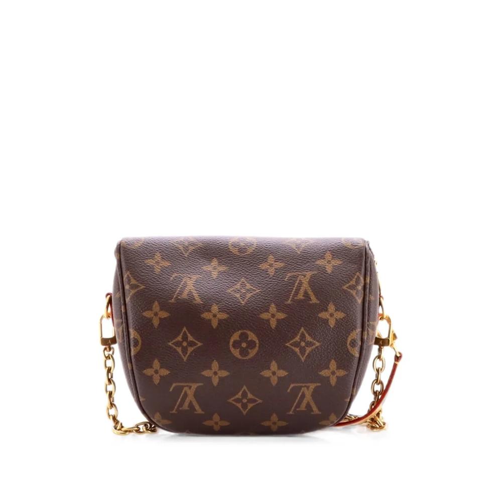 Bum Bag Monogram Canvas Mini belt bag 2
