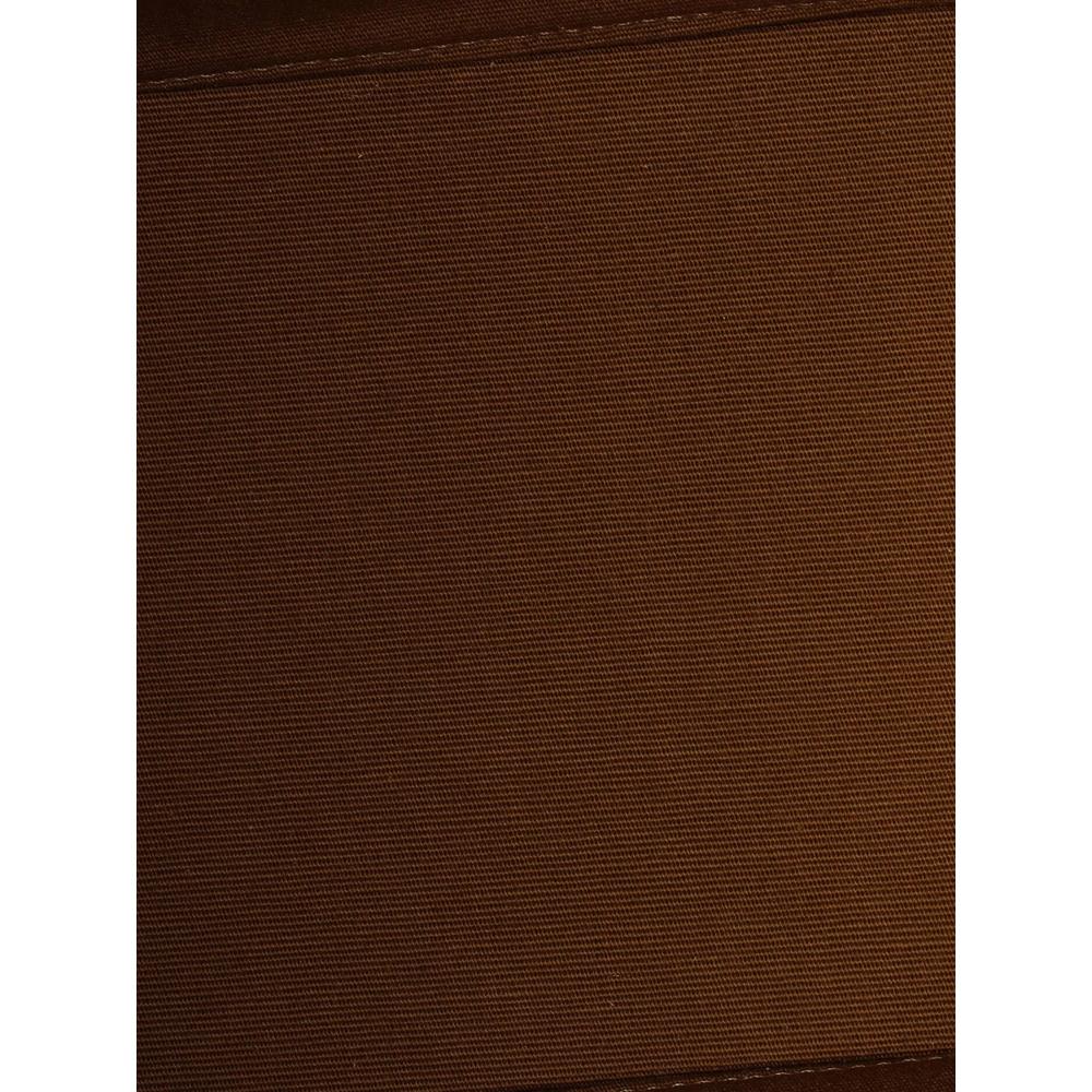 Triomphe Coated Canvas Small bucket bag 5