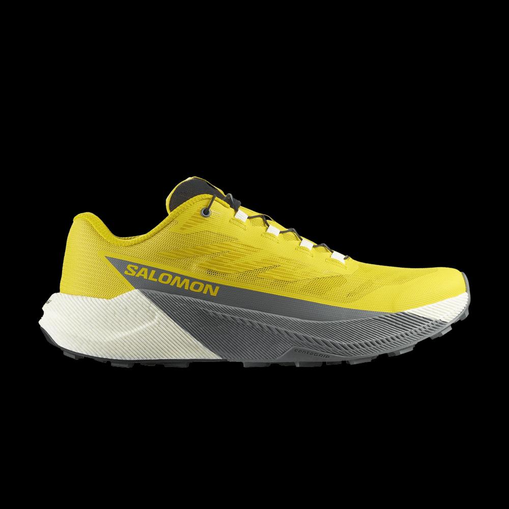 Кроссовки Salomon Pulsar 'Incaberry' 1