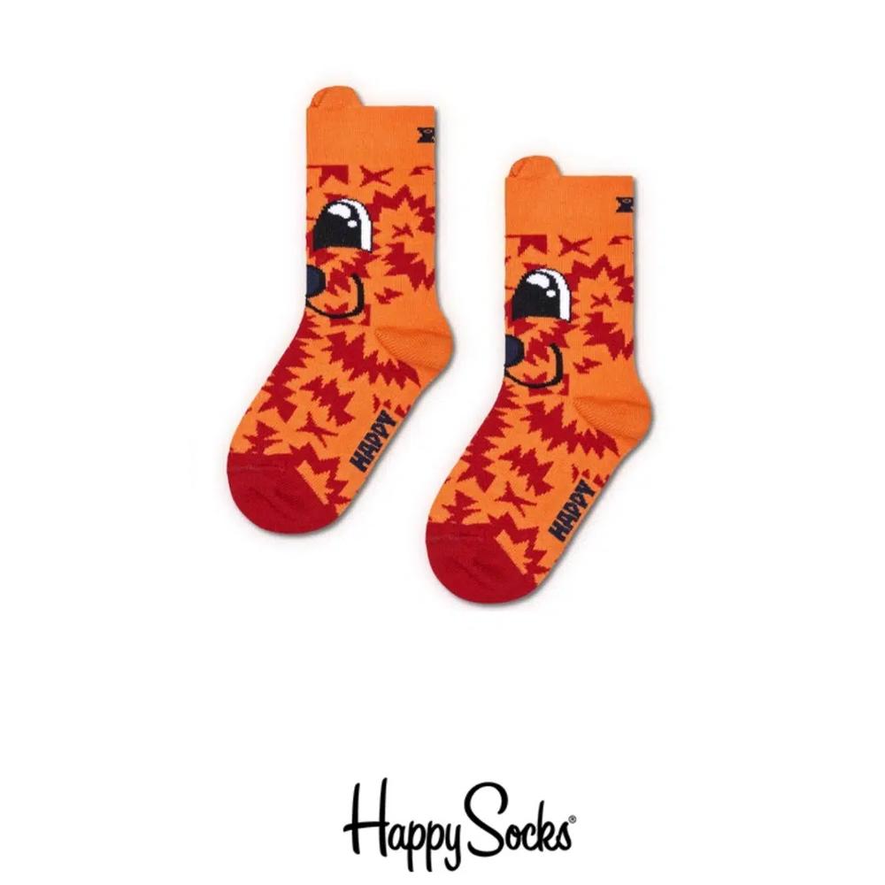 Носки Fox Kids Socks 2