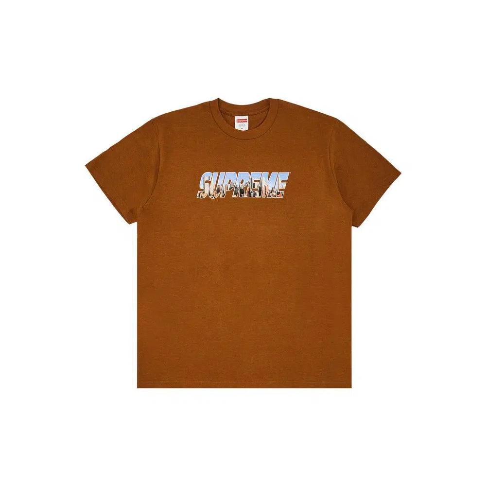 Футболки Supreme Gotham Tee 'Светло-коричневый' 1