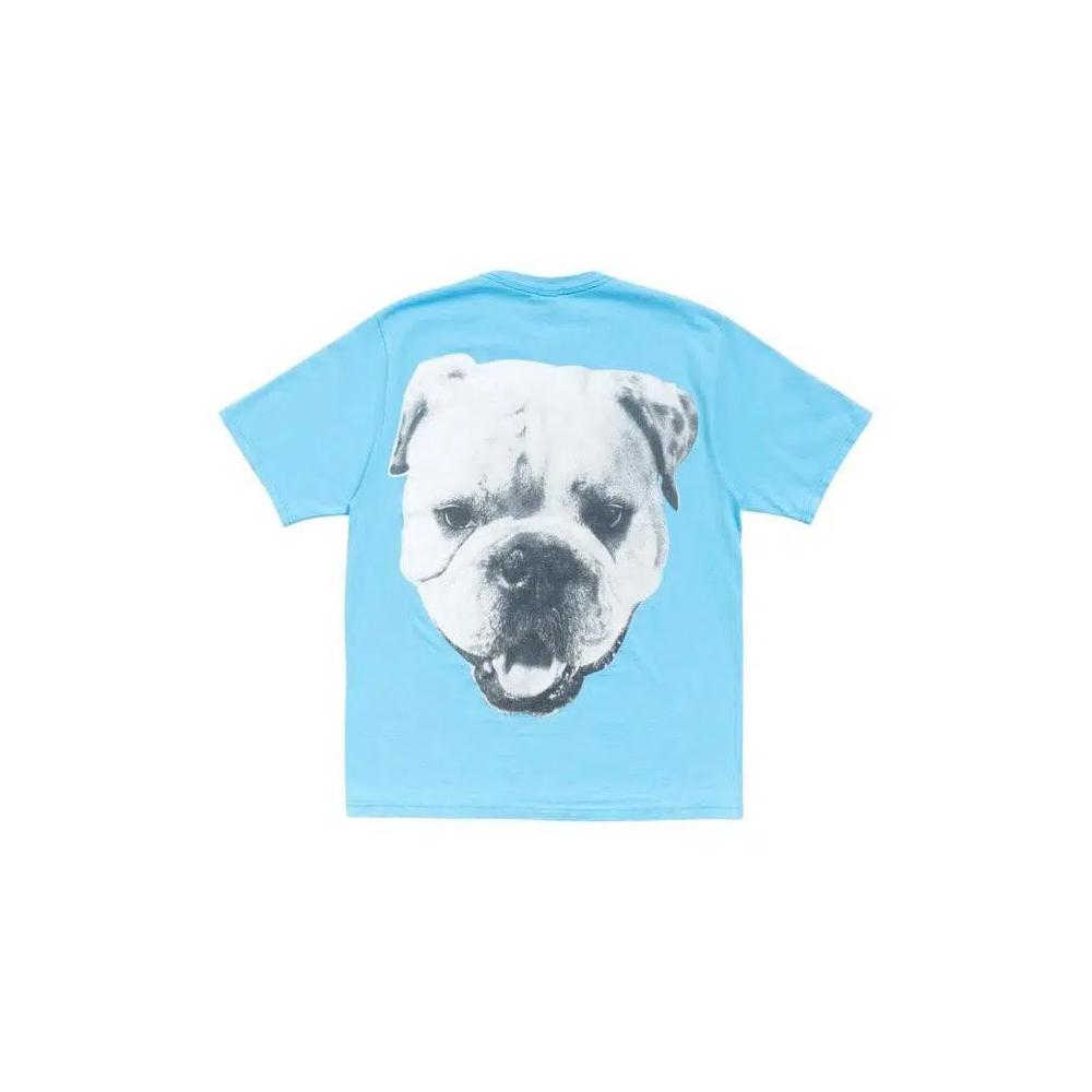 Футболки Stussy Big Dog Stone Washed Tee 'Sky Blue' 2