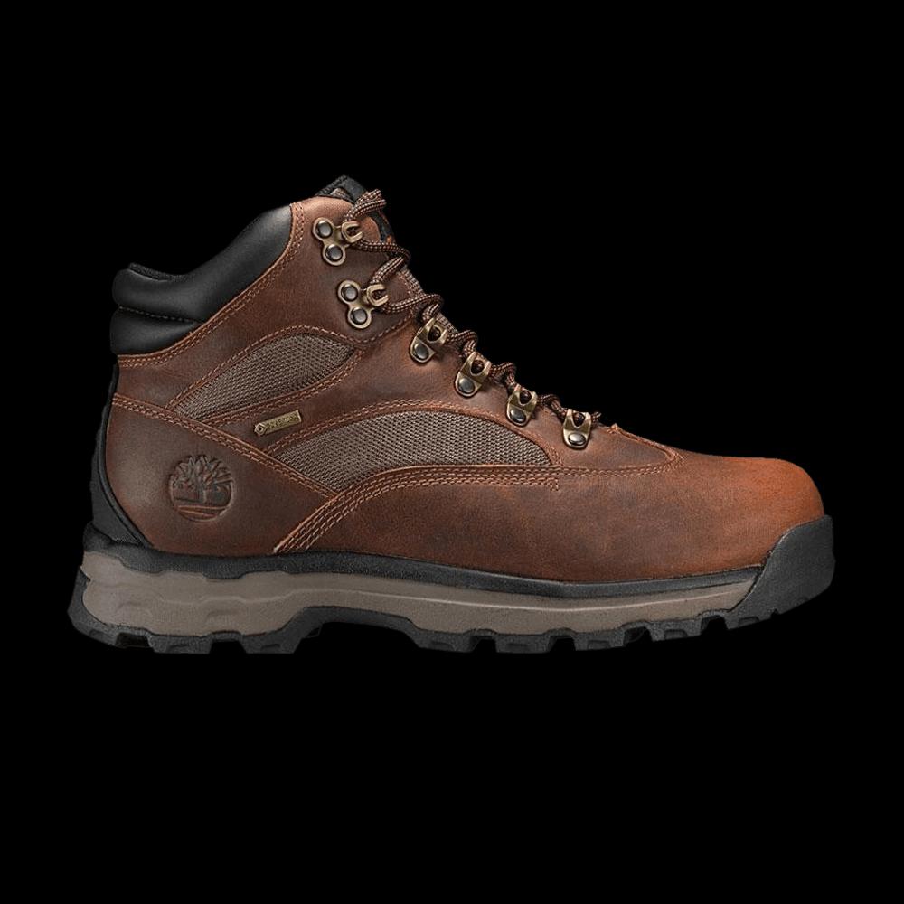 Ботинки Timberland Chocorua Trail Mid Hicker GTX 'Черный' 1