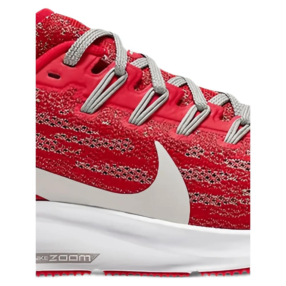 Кроссовки Zoom Pegasus 36 2