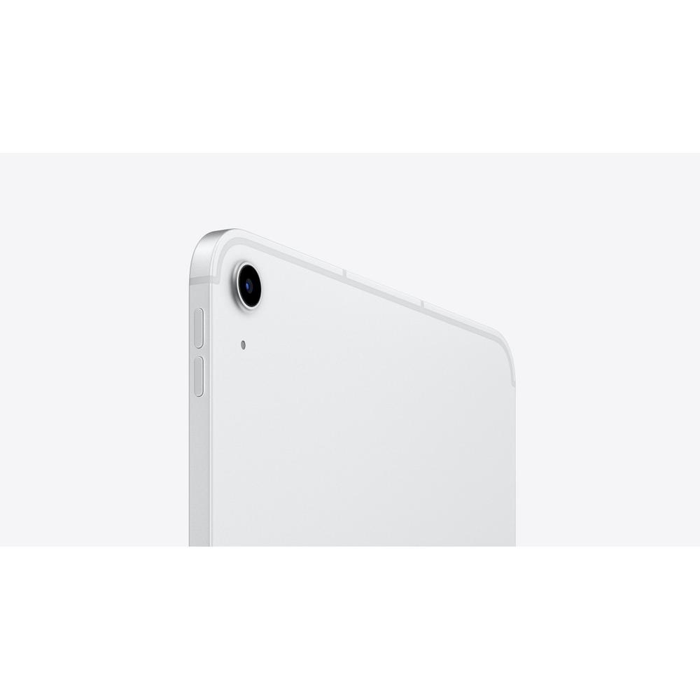 iPad 256 ГБ, Wi-Fi + Cellular, Silver 4