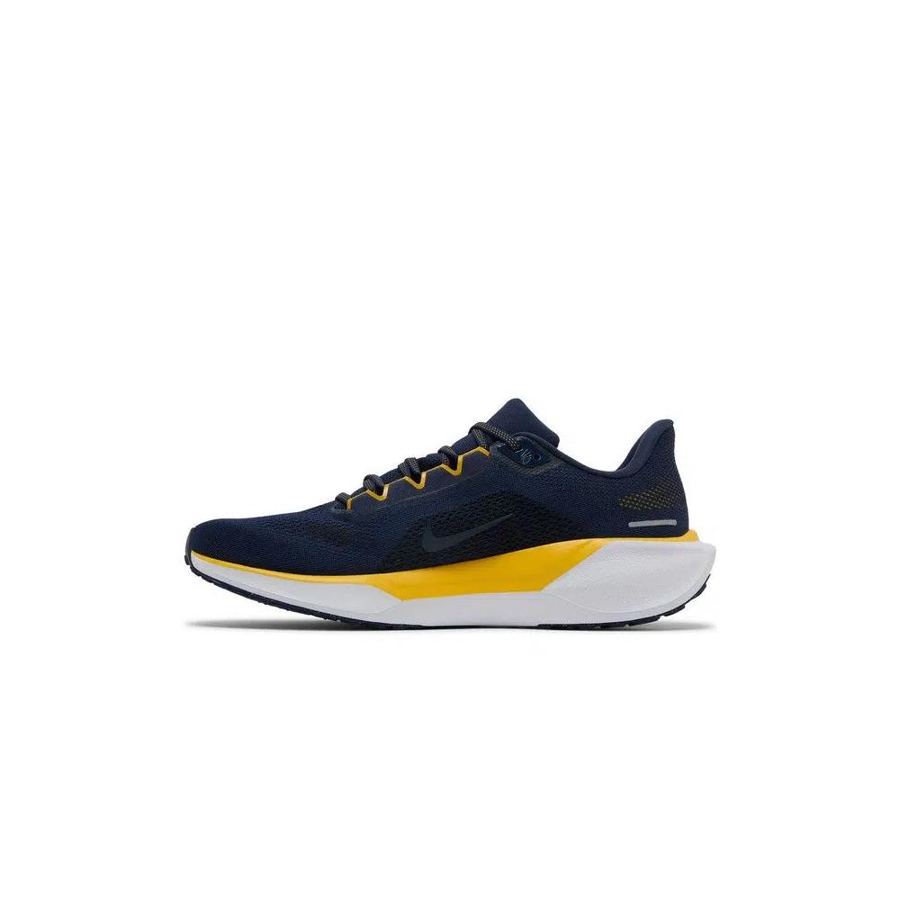 Кроссовки Nike Air Zoom Pegasus 41 'Michigan' 3