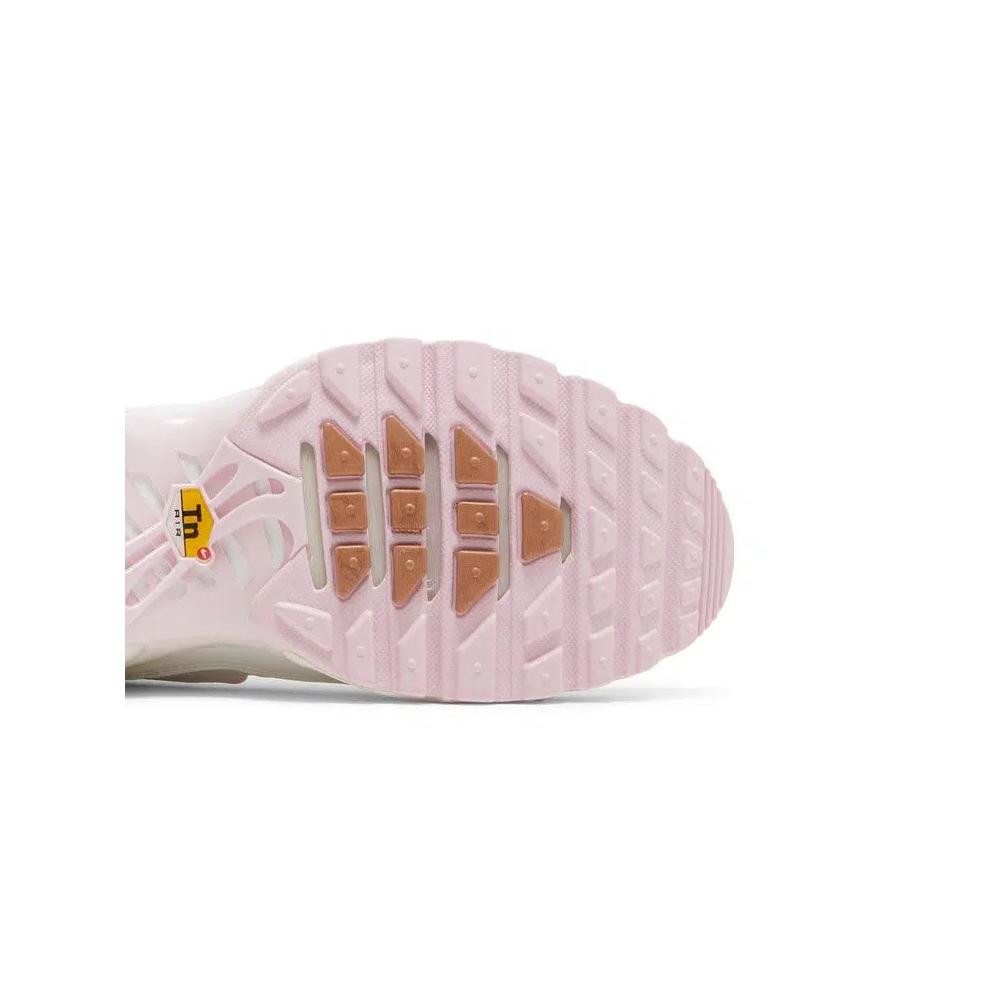 Кроссовки Nike Wmns Air Max Plus 'Vast Grey Metallic Copper' 5