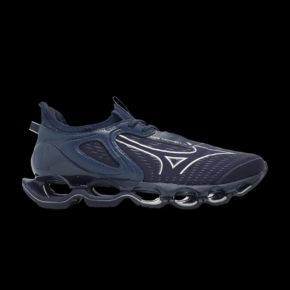 Кроссовки Mizuno Wave Prophecy 14 'Navy' 1